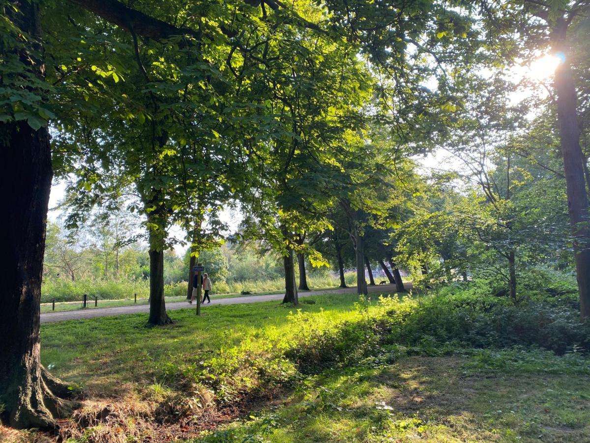 Beach & Forest Retreat -Domburg- Oostkapelle Ngoại thất bức ảnh