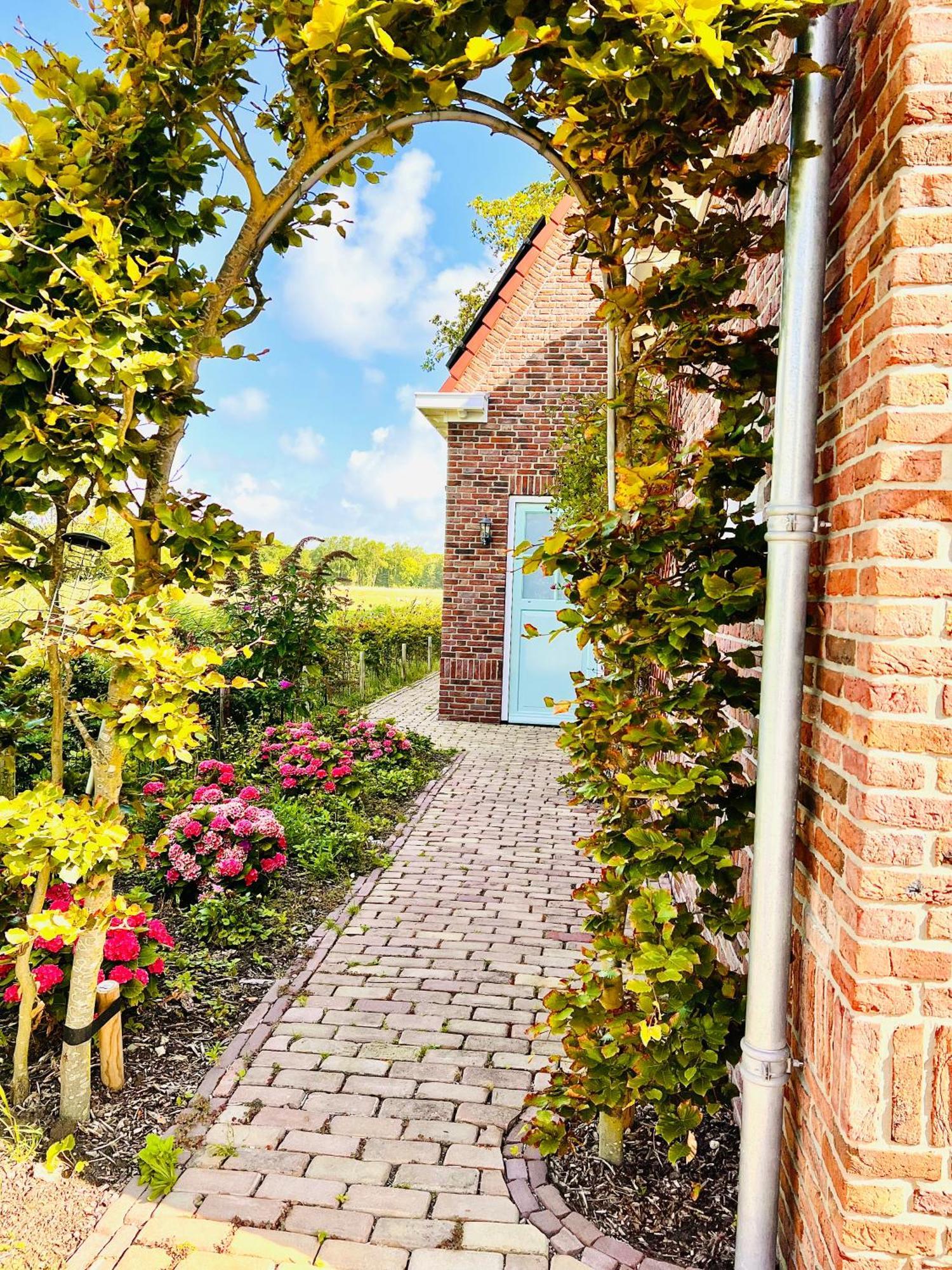 Beach & Forest Retreat -Domburg- Oostkapelle Ngoại thất bức ảnh