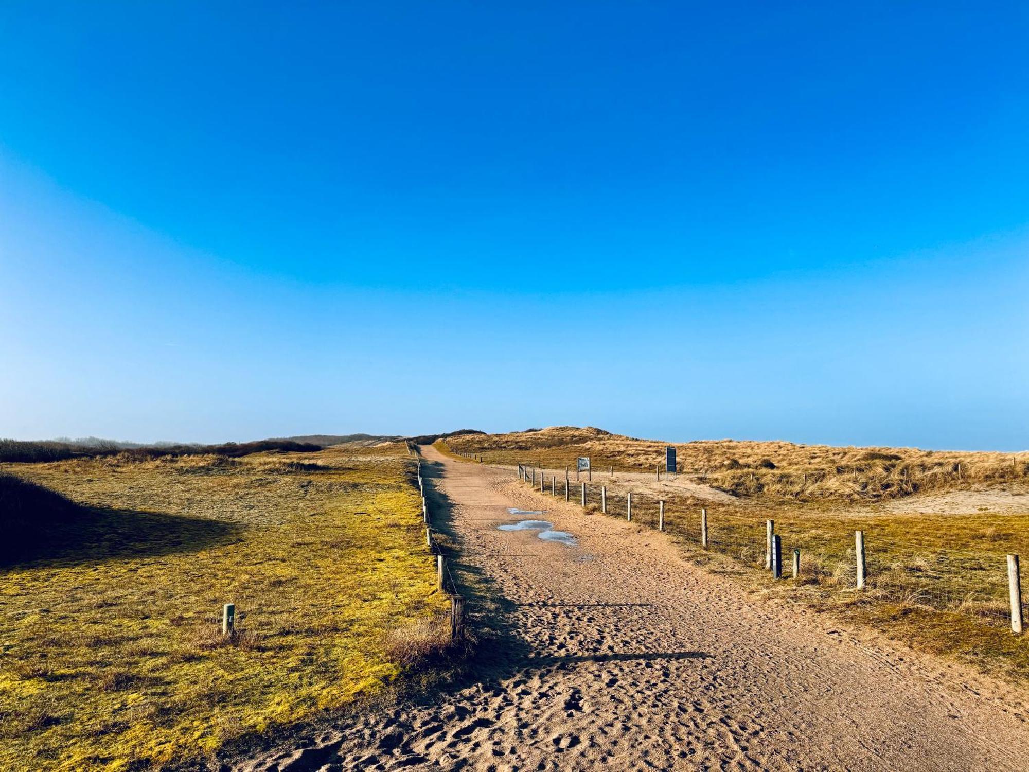 Beach & Forest Retreat -Domburg- Oostkapelle Ngoại thất bức ảnh