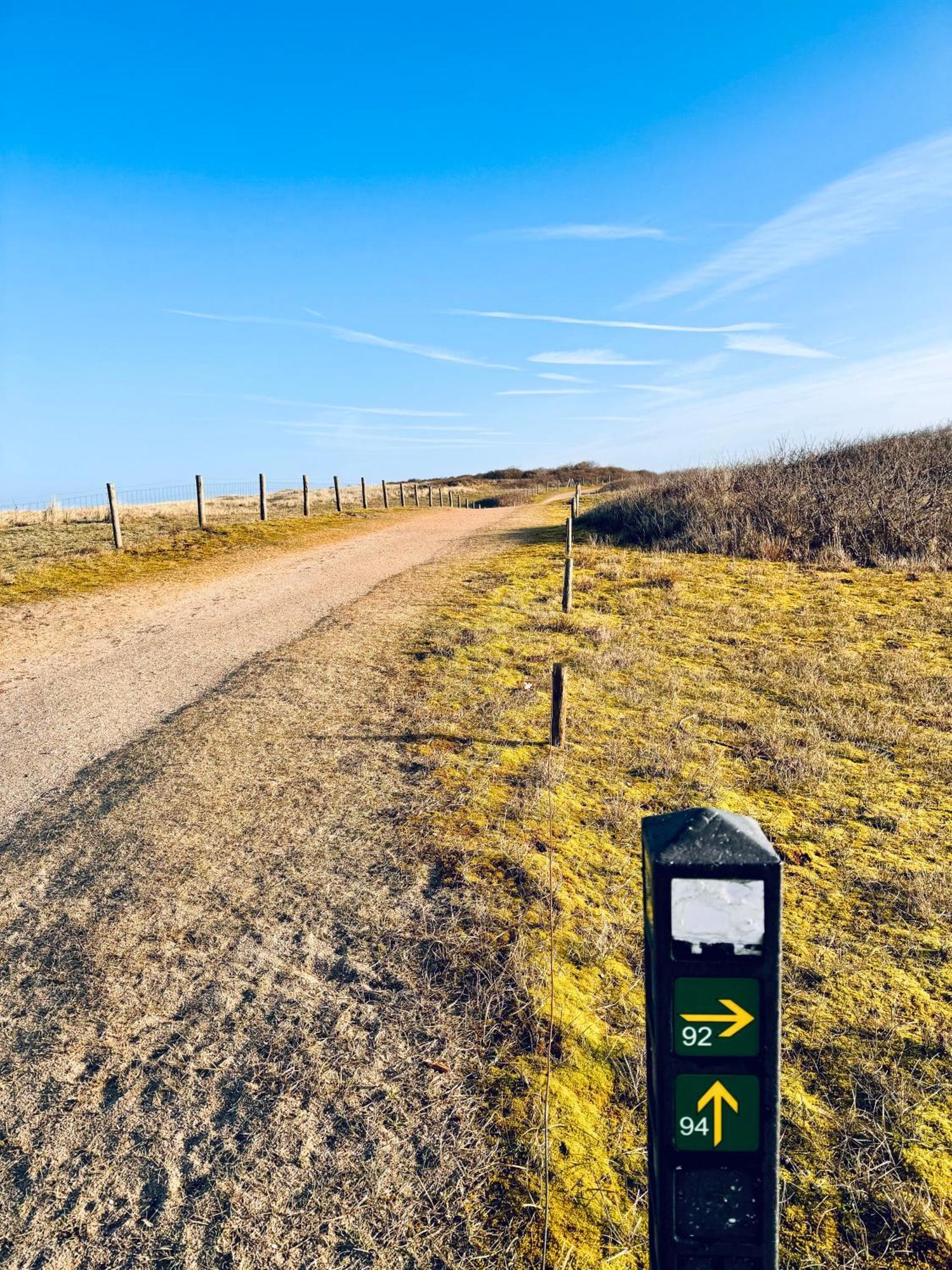 Beach & Forest Retreat -Domburg- Oostkapelle Ngoại thất bức ảnh