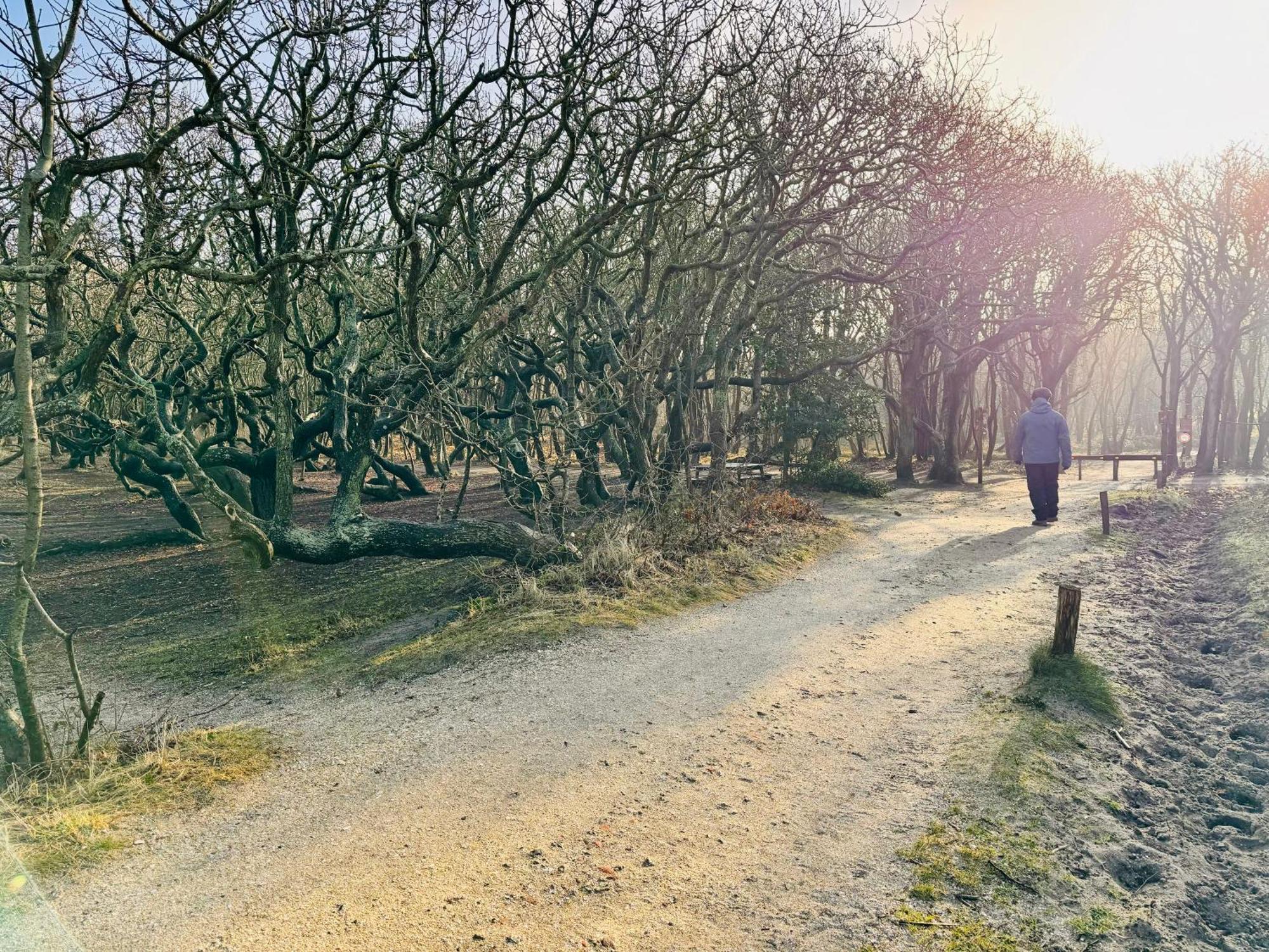 Beach & Forest Retreat -Domburg- Oostkapelle Ngoại thất bức ảnh