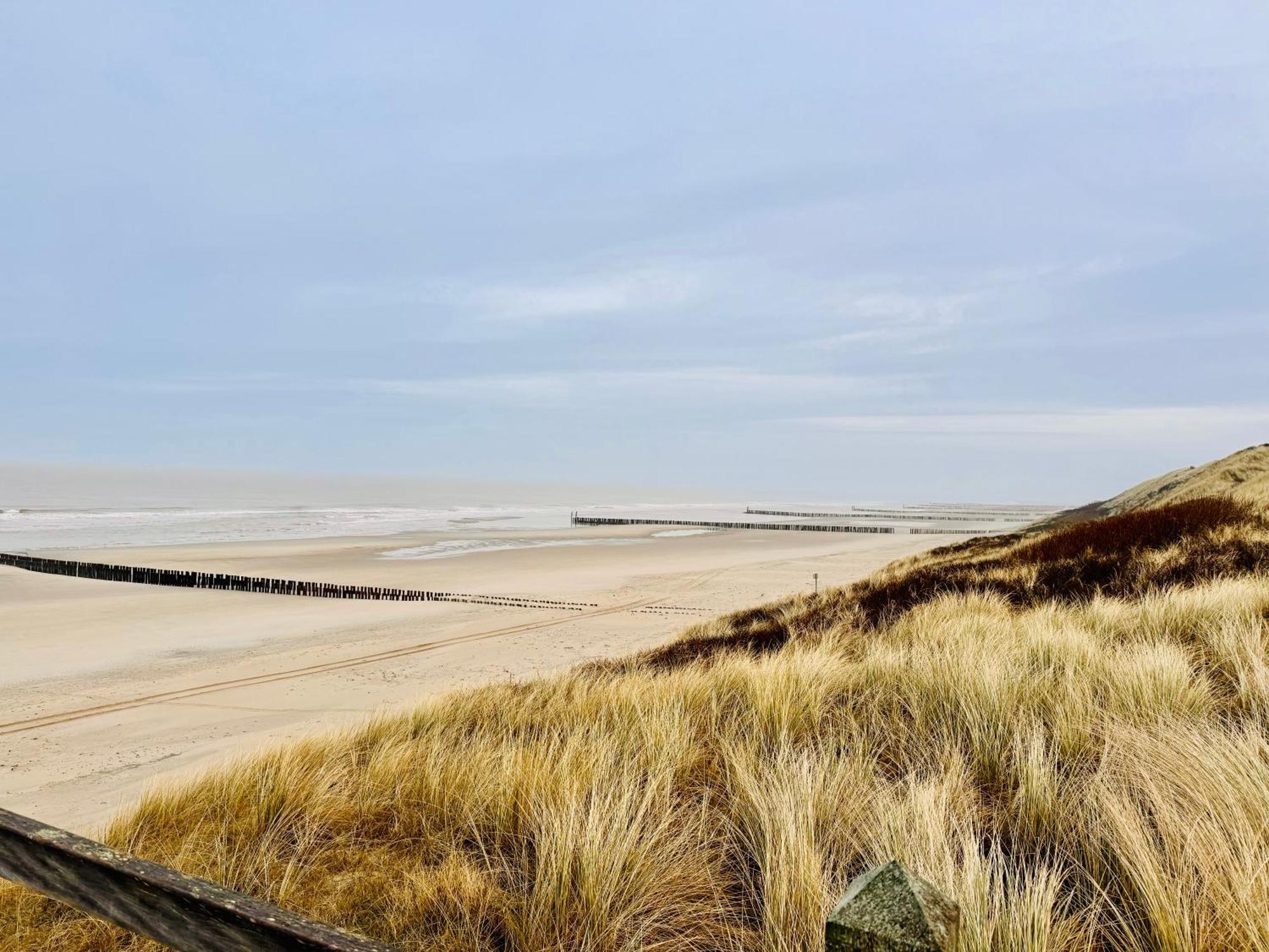 Beach & Forest Retreat -Domburg- Oostkapelle Ngoại thất bức ảnh
