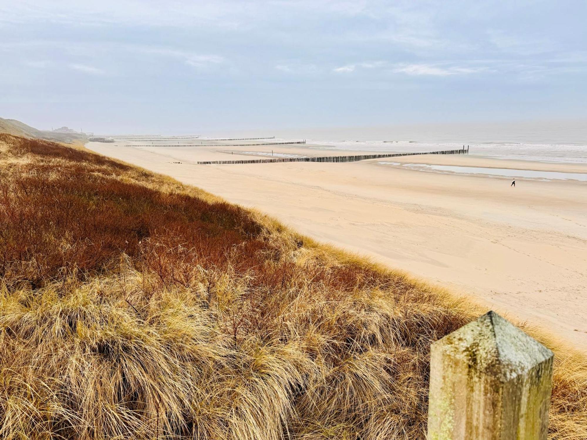 Beach & Forest Retreat -Domburg- Oostkapelle Ngoại thất bức ảnh