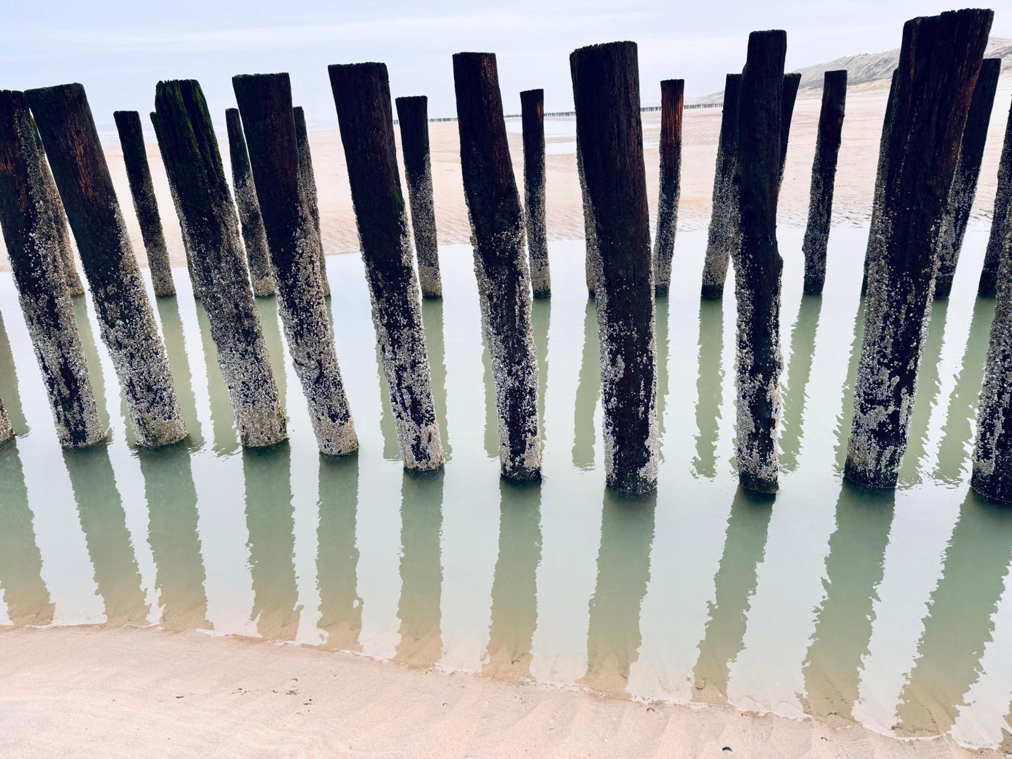 Beach & Forest Retreat -Domburg- Oostkapelle Ngoại thất bức ảnh