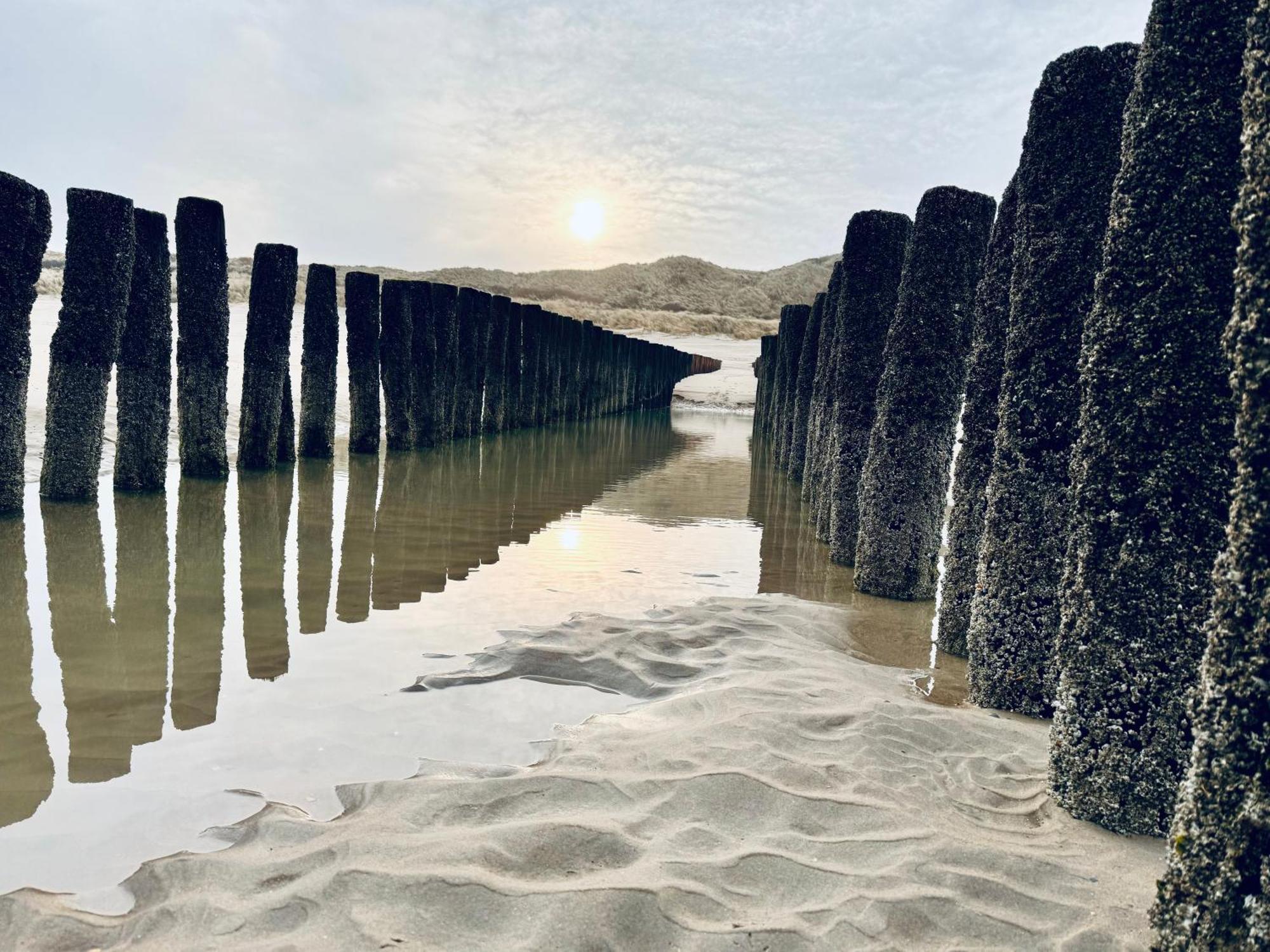 Beach & Forest Retreat -Domburg- Oostkapelle Ngoại thất bức ảnh