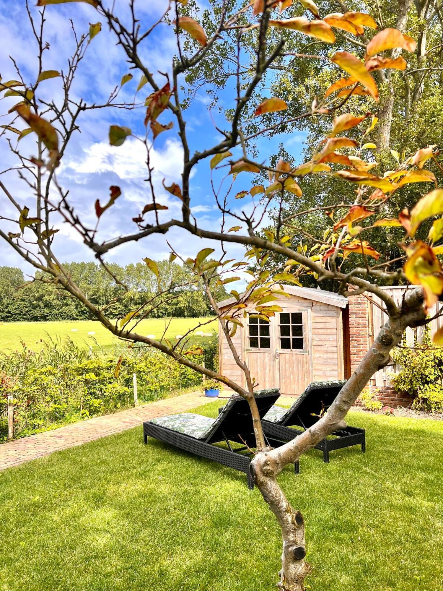 Beach & Forest Retreat -Domburg- Oostkapelle Ngoại thất bức ảnh