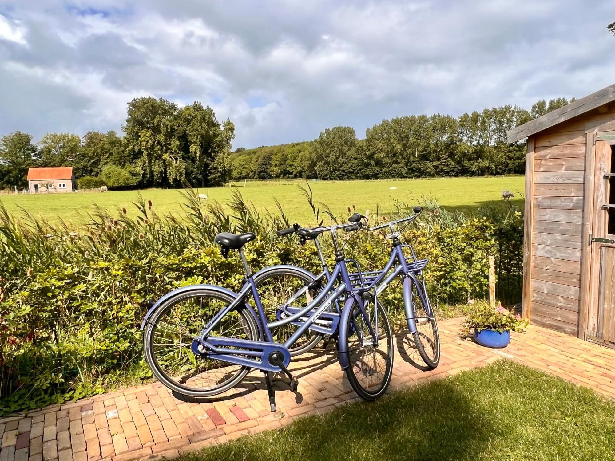 Beach & Forest Retreat -Domburg- Oostkapelle Ngoại thất bức ảnh