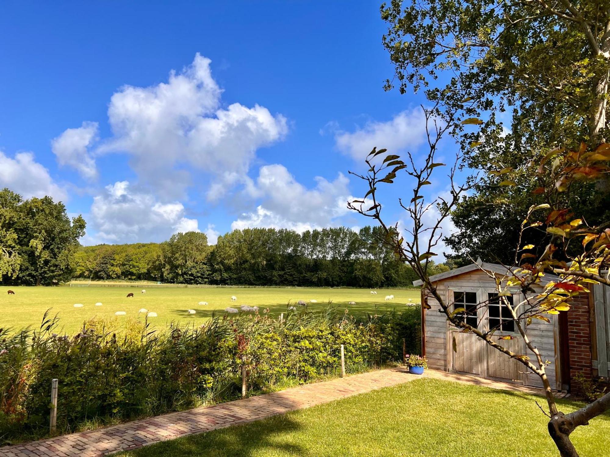Beach & Forest Retreat -Domburg- Oostkapelle Ngoại thất bức ảnh